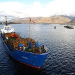 MV Burhou, carrying timber