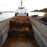 MV Isis, loading logs